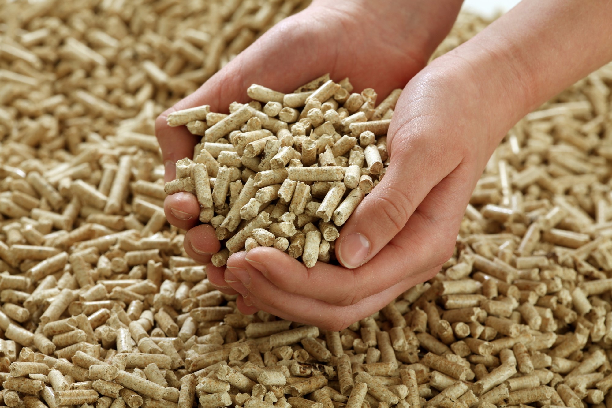 Jaipur Green Fuels Pvt. Ltd