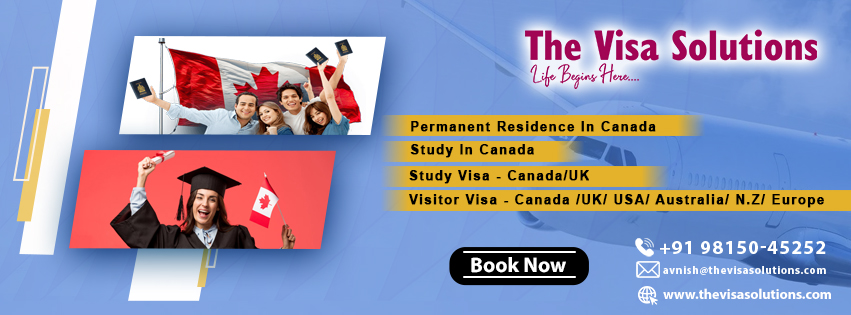 The Visa Solutions
