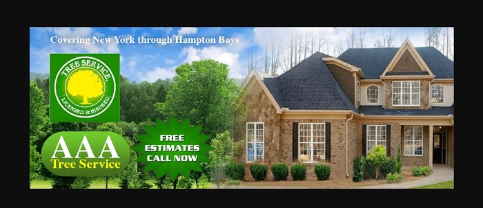 AAA TREE SERVICE NY CORP