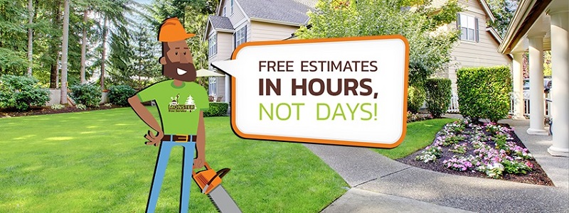 Monster Tree Service of Sarasota & Manatee County
