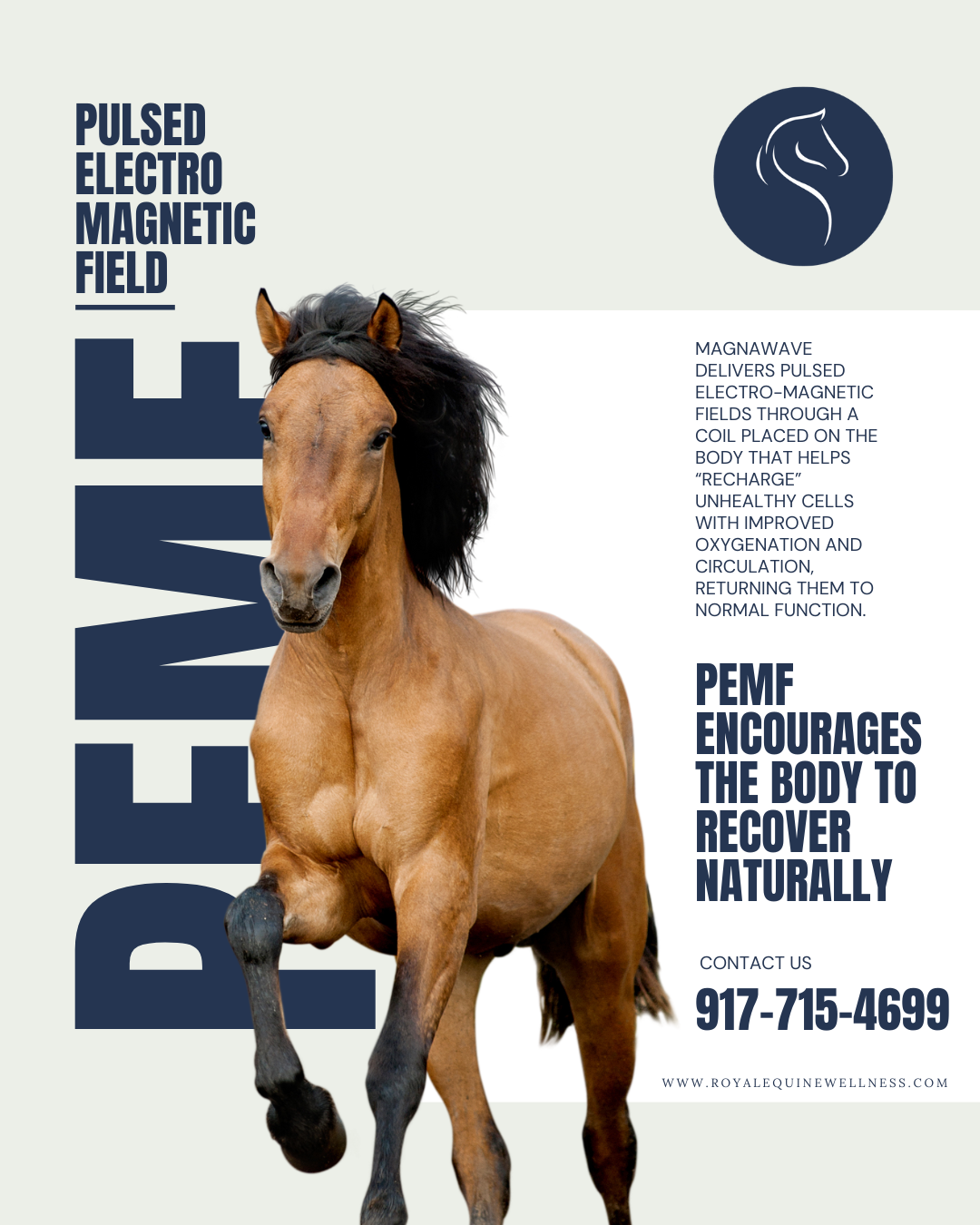 Royal Equine Wellness