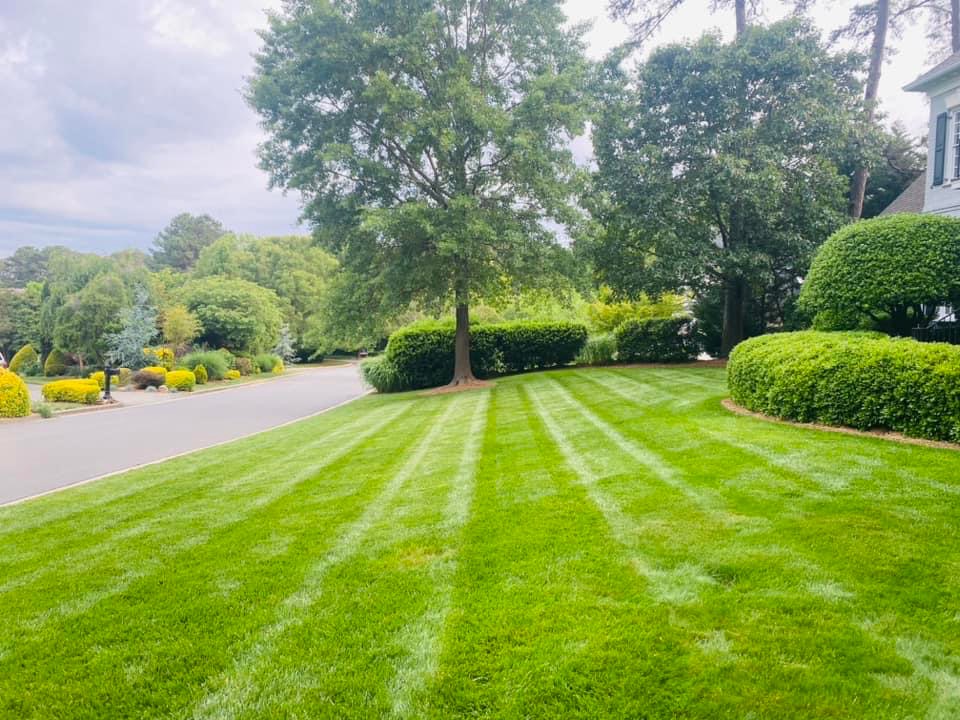GreenPal Lawn Care of Sacramento