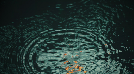 Sacred Somatic Counselling – Somatic Therapy in Surrey, BC