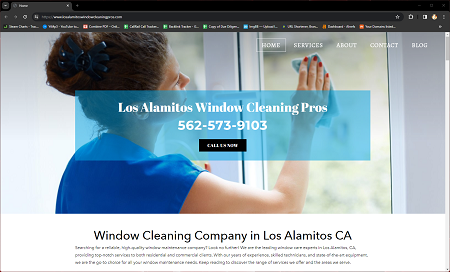 Los Alamitos Window Cleaning Pros