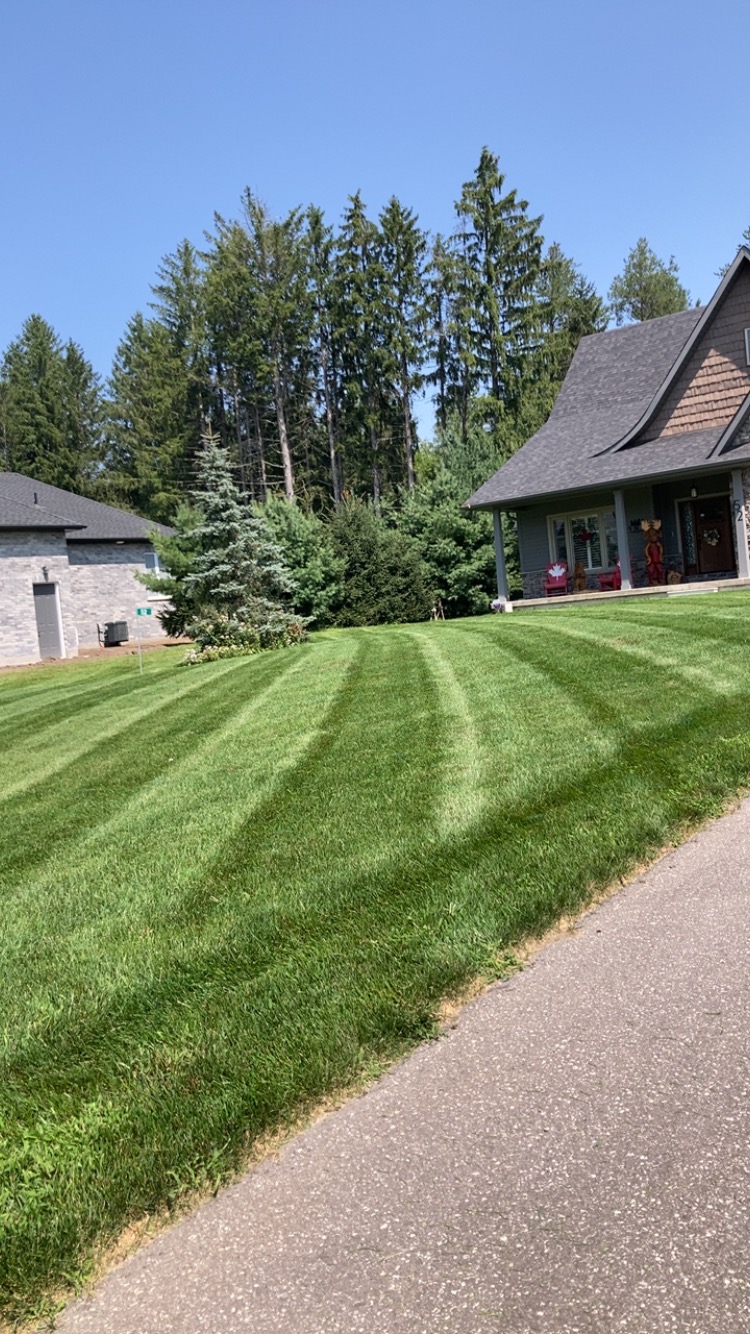 Akula Property Care
