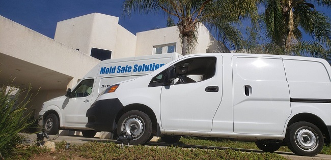 Mold Safe Solutions