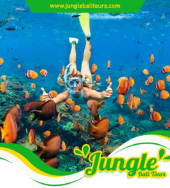 Jungle bali Tours