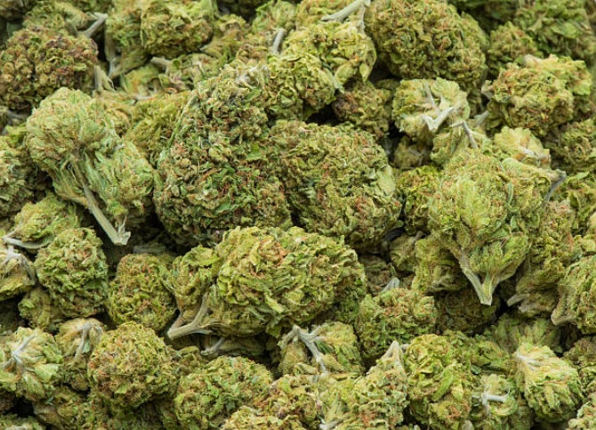 Kush Dee – Weed Shop Cannabis Dispensary