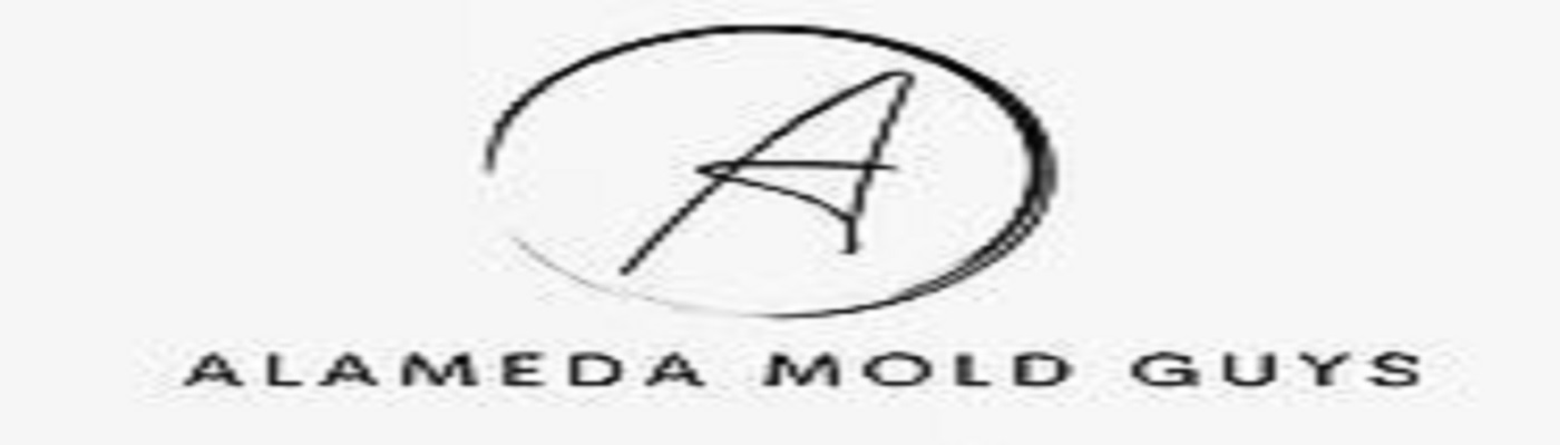 ALAMEDA MOLD GUYS