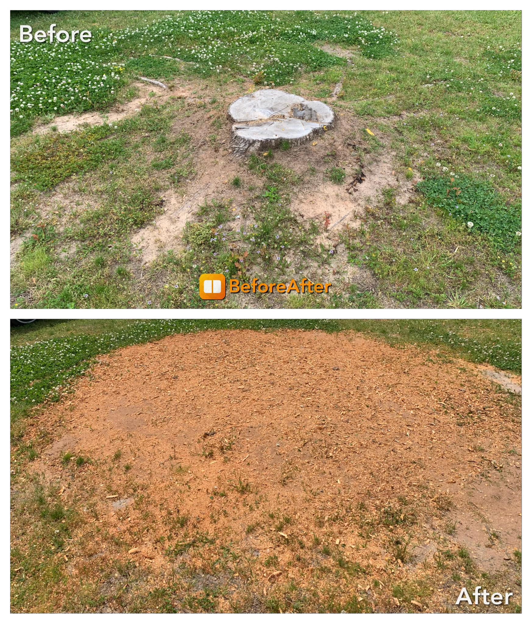 Boone's Stump Grinding