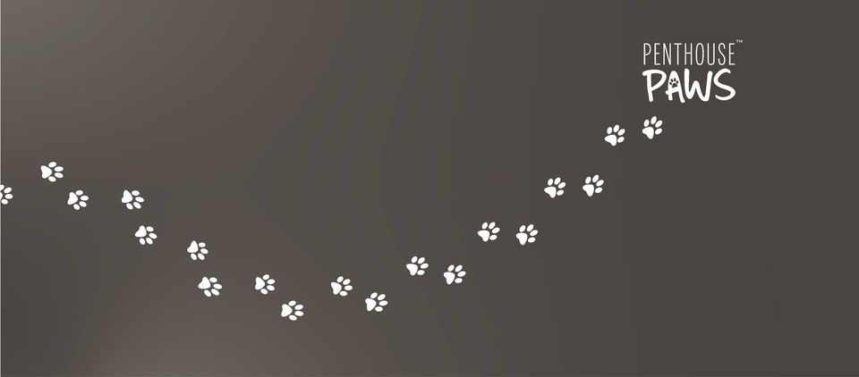 Penthouse Paws