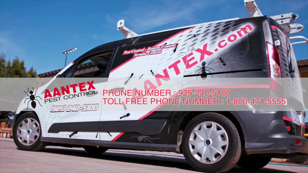 Aantex Pest Control