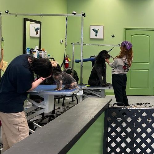 Fran N Friends Pet Grooming