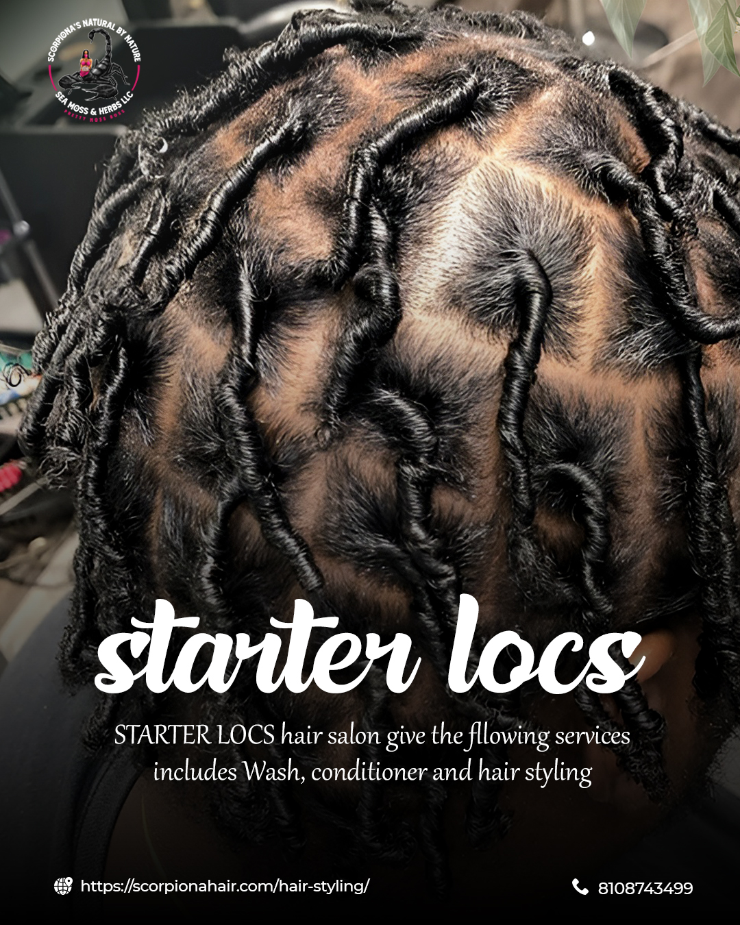 Scorpiona Hair – Starter Locs Hair Salon In Flint MICHIGAN