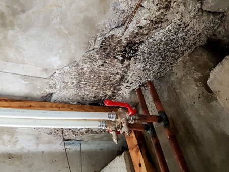 Damage Restoration of Spokane