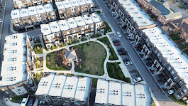 Maple Aerial Photography