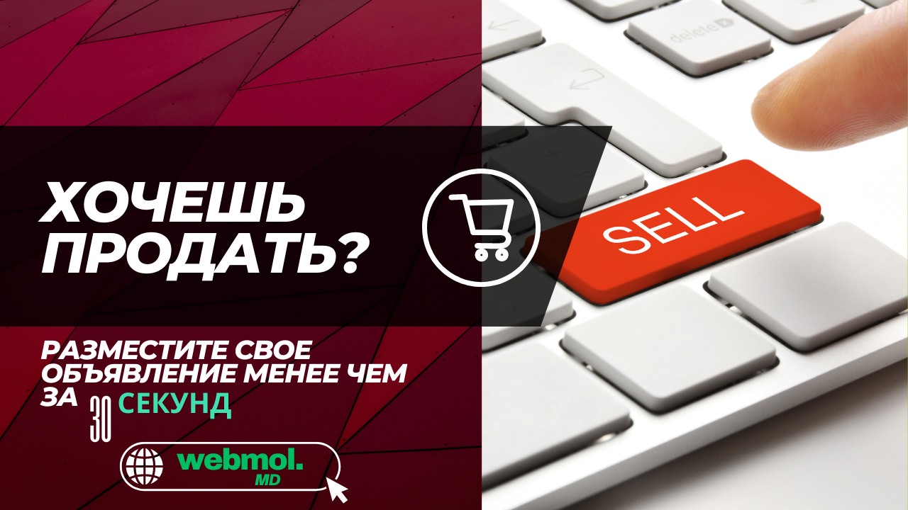 WEBMOL IT S.R.L.