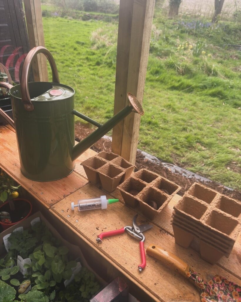 Vickys Cottage