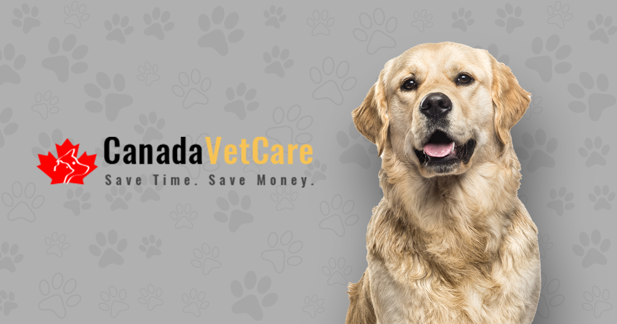 Online Pet Supplies Store