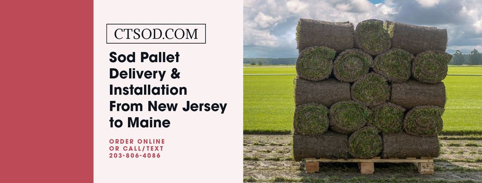 CT SOD