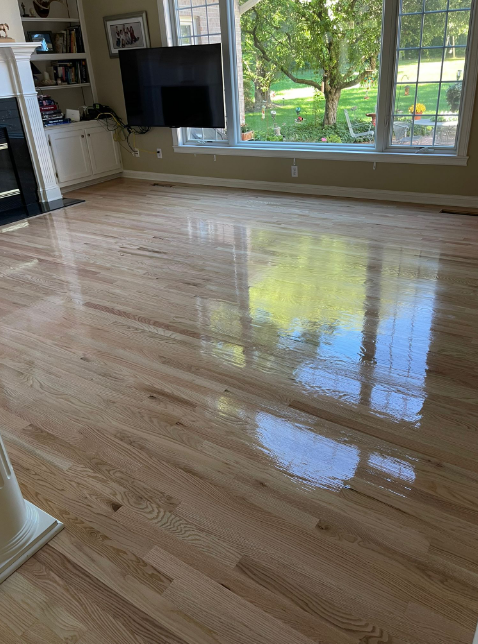 Floor Refinishing Products Fishers