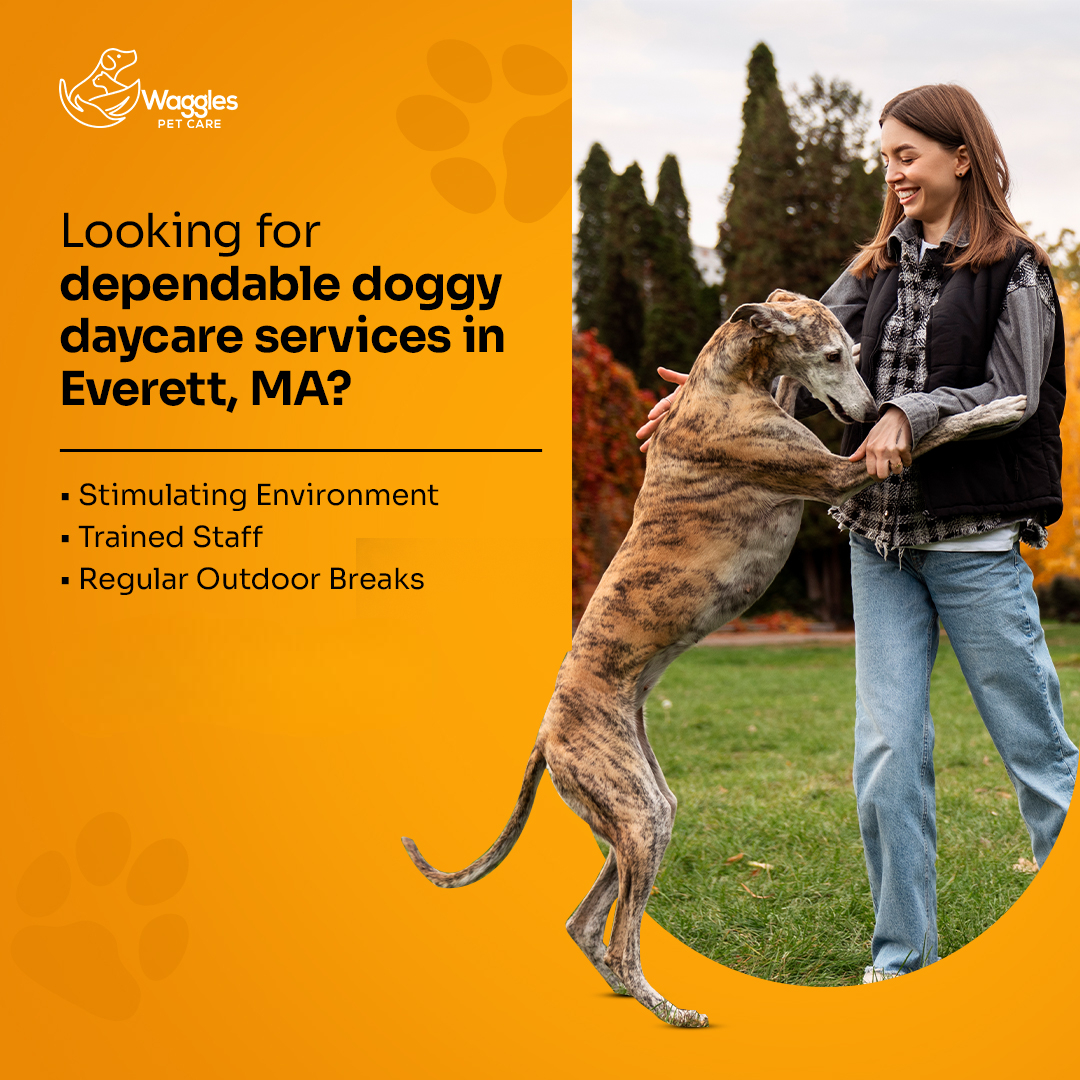 Waggles Pet Care