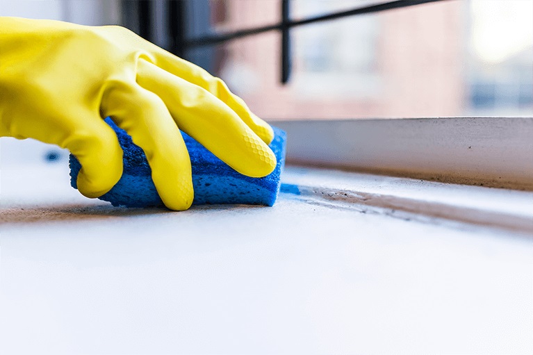 Water Damage & Mold by Drypro