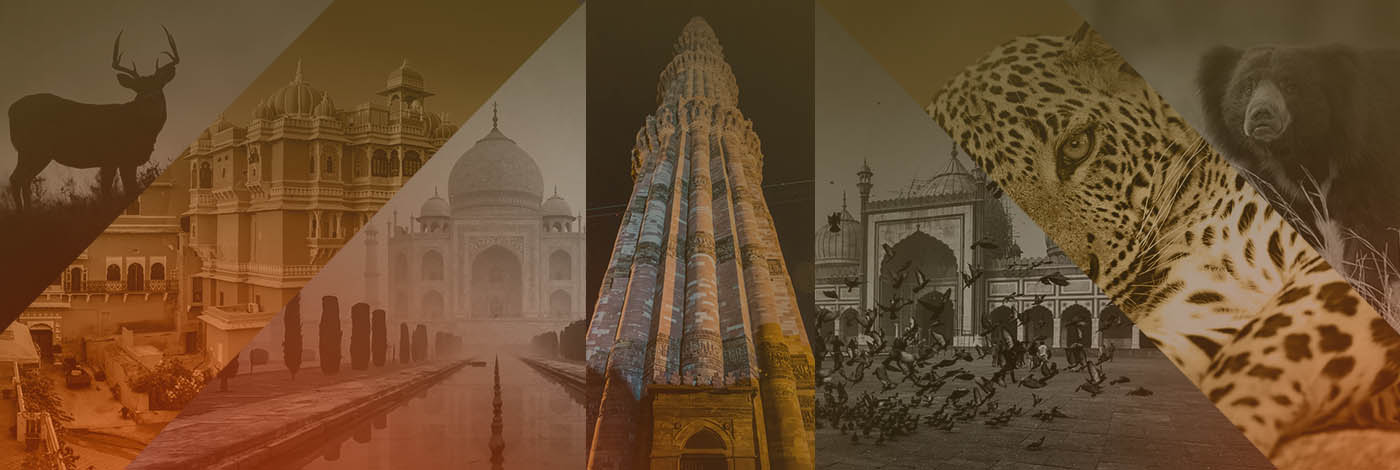Indian Maharaja Tours