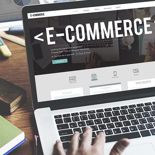 Pluugin Ecommerce