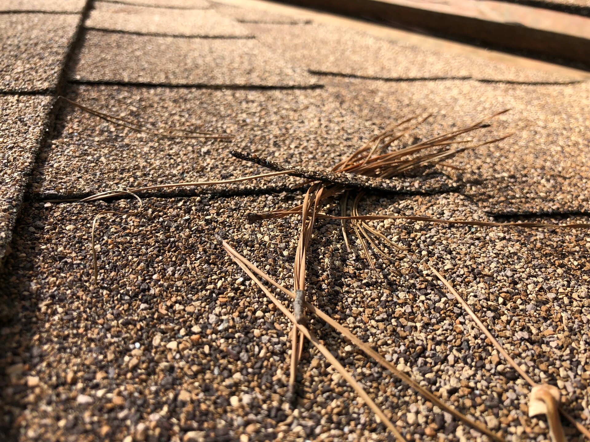 Integrity Roofing