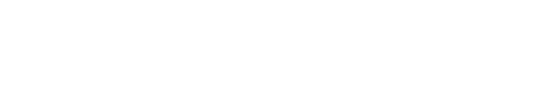 Solution Analysts Pvt Ltd