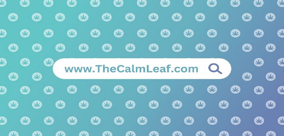 The Calm Leaf