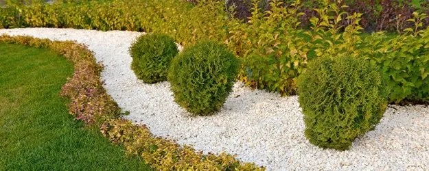 Tree World Nursery And Landscaping