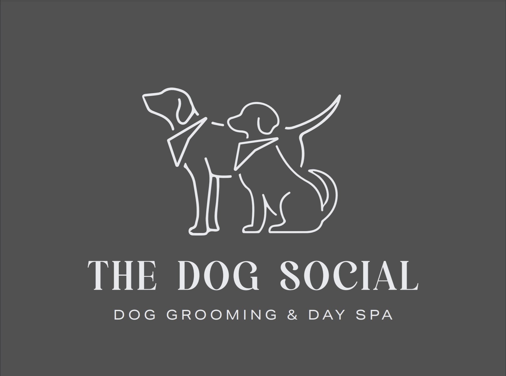 The Dog Social