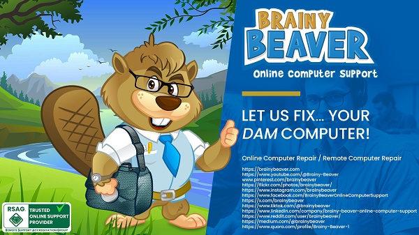 Brainy Beaver Online Computer Support