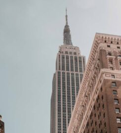 Vencha Capital Holdings Inc