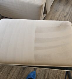 Discount Carpet & Upholstery Cleaning