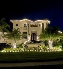 Reindeer Bros Christmas Lighting