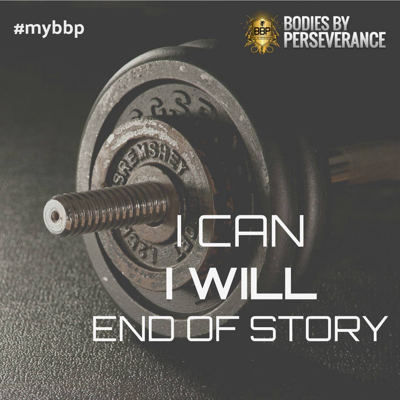 Perseverance