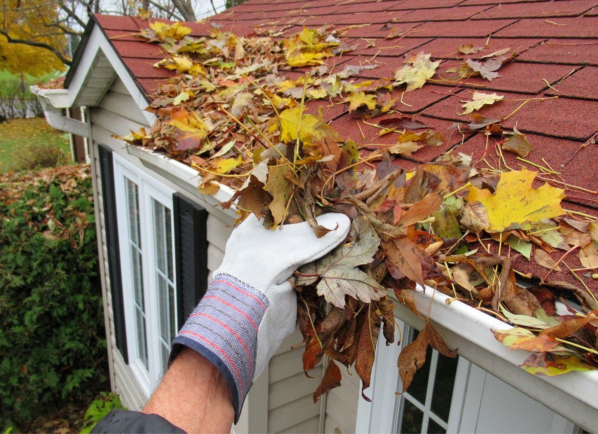 The Rain Man Gutters