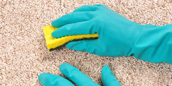 Cleaners Bayswater