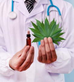 Iowa MMJ Card Doctor – Best Medical Marijuana Doctors