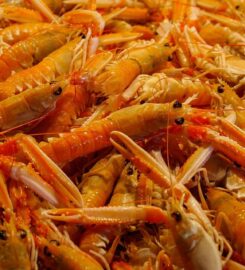 Crawfish House & Grill, LLC