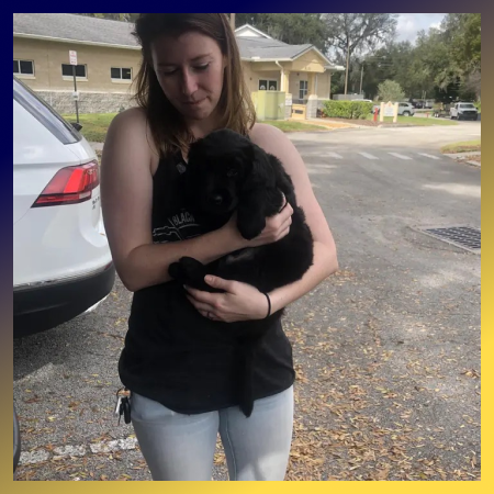 Poseidon K9 Dog Training