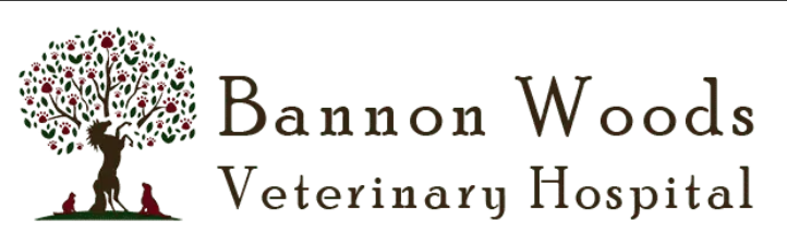 Bannon Woods Veterinary Hospital