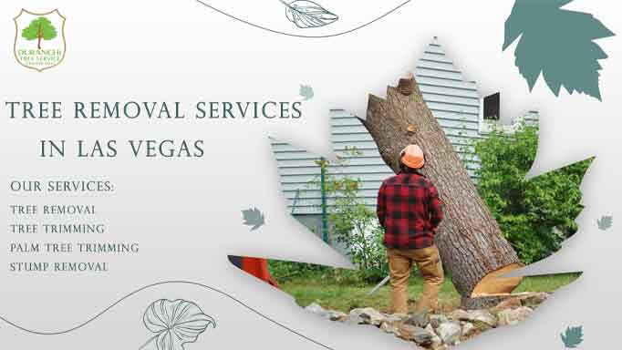 Duranchi Tree Service | Top Rated Tree Services in Las Vegas