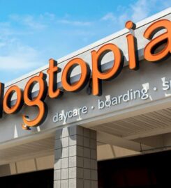 Dogtopia of New Rochelle
