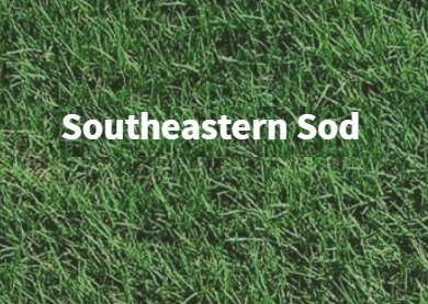 Southeastern Sod