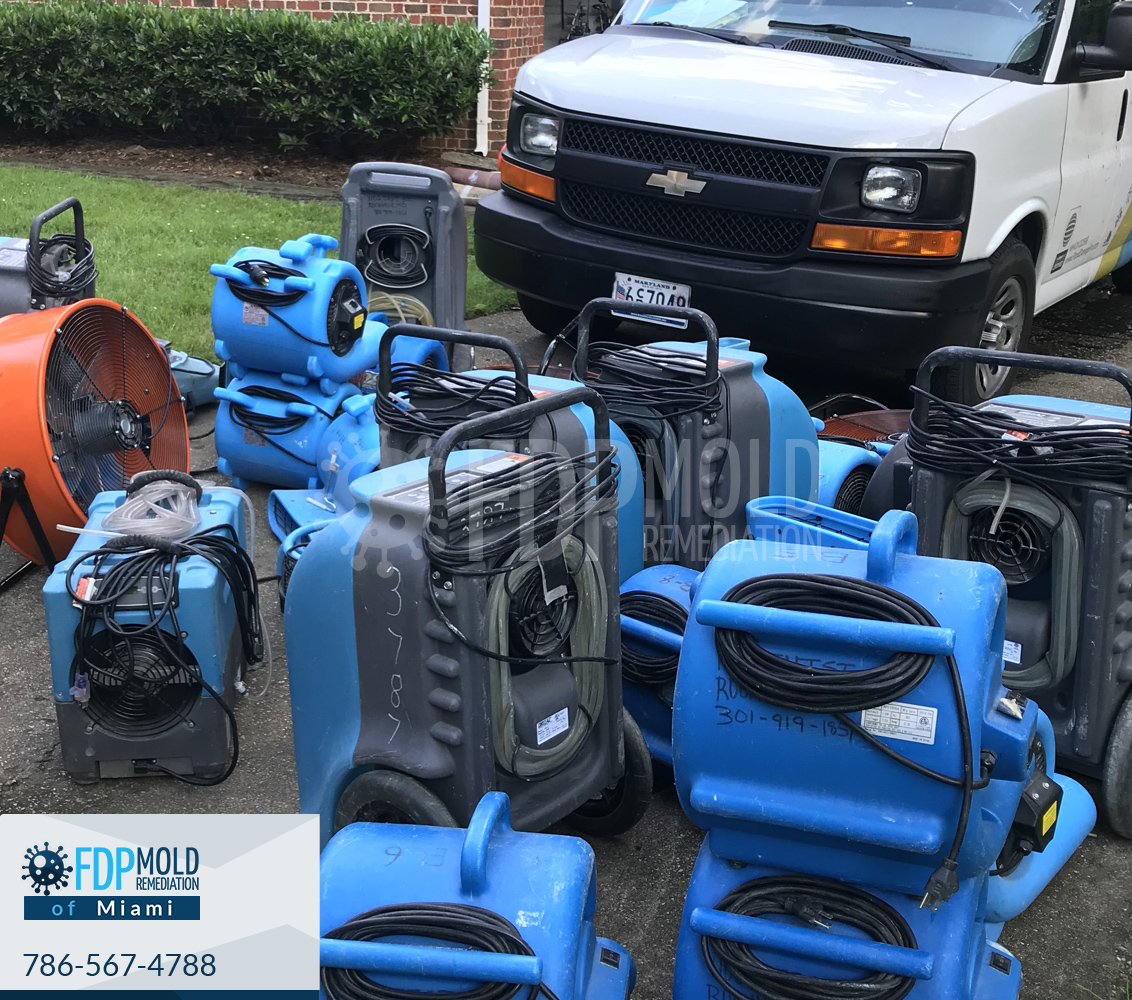 FDP Mold Remediation of Miami