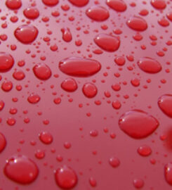 Bens Auto Detail Center Inc.